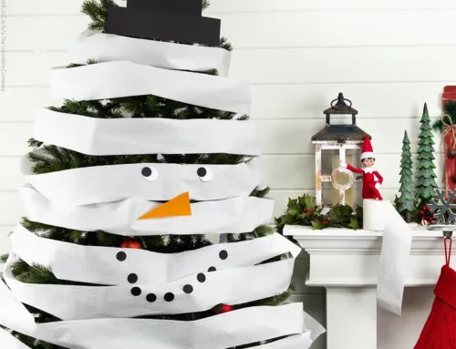 Sapin de papier toilette