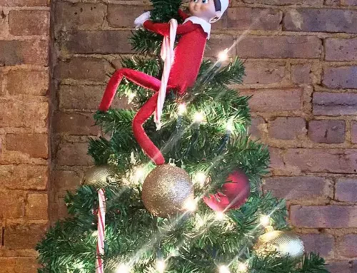 Sommet de sapin